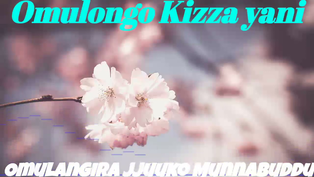 Omulongo Kizza yani? - Omulangira Jjuuko Munnabuddu