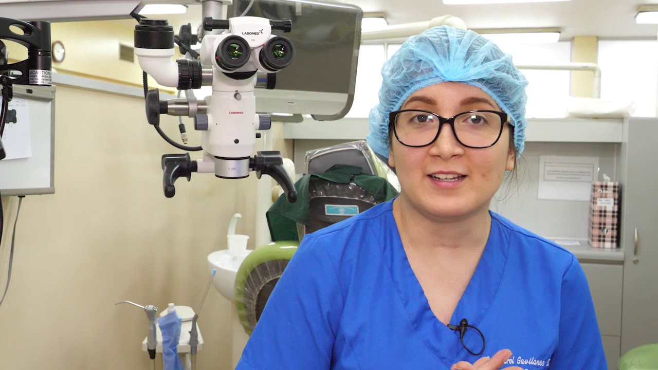 ENDODONCIA 2019 CONVERSANDO CON LA ODONTOLOGÍA