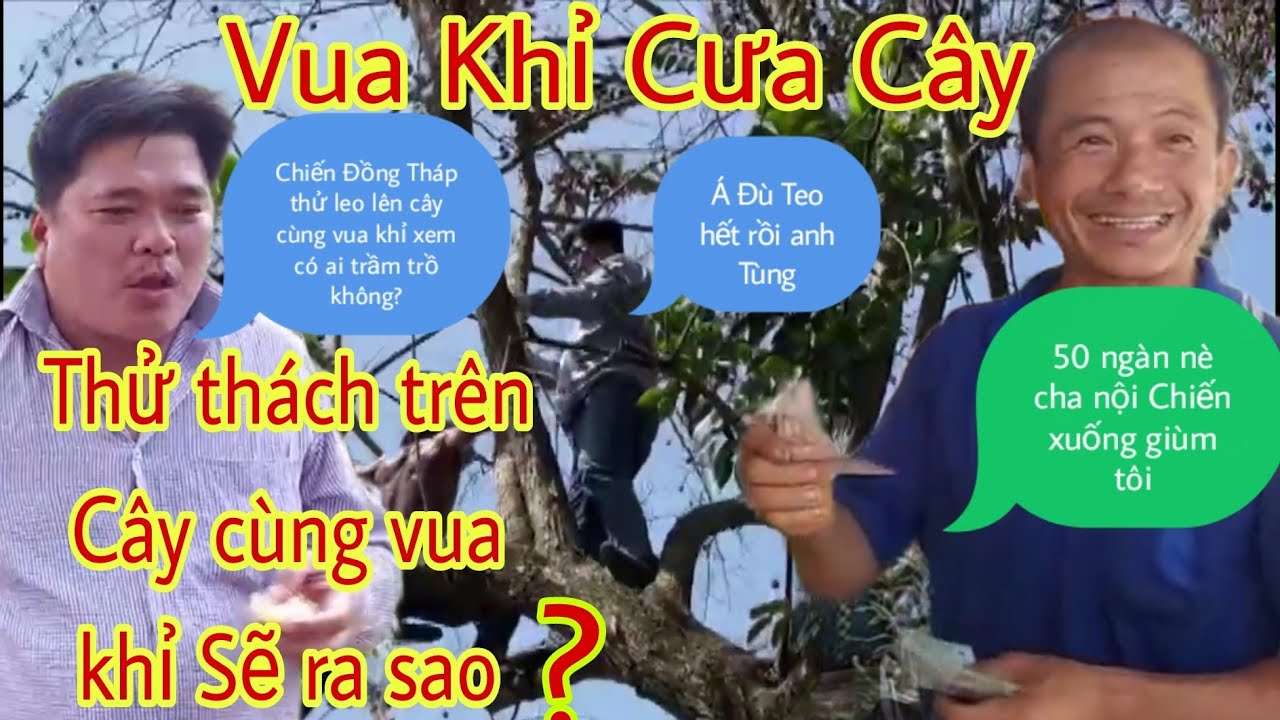 Vua Khỉ Cưa C&acirc;y|Youtuber Chiến Đồng Th&aacute;p Thử Th&aacute;ch Leo L&ecirc;n C&acirc;y C&ugrave;ng Vua Khỉ Cưa C&acirc;y|Gia Đ&igrave;nh vlog MN