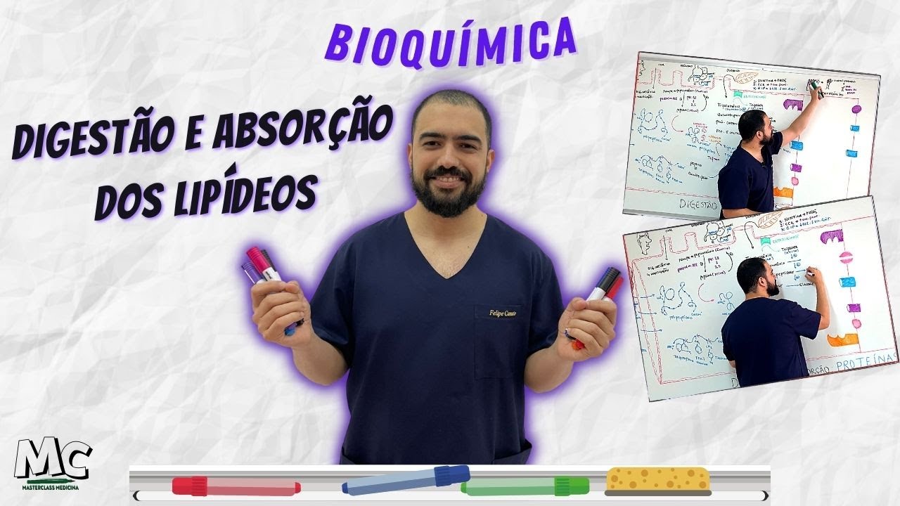 Bioquímica: Digestão Absorção dos Lipídeos