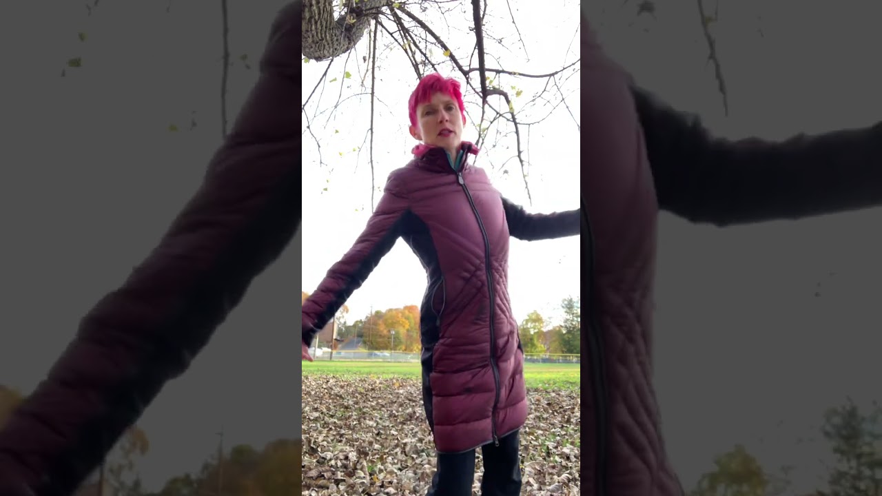 Your Spine - a reframe! #shorts #embodiment #spine #movement
