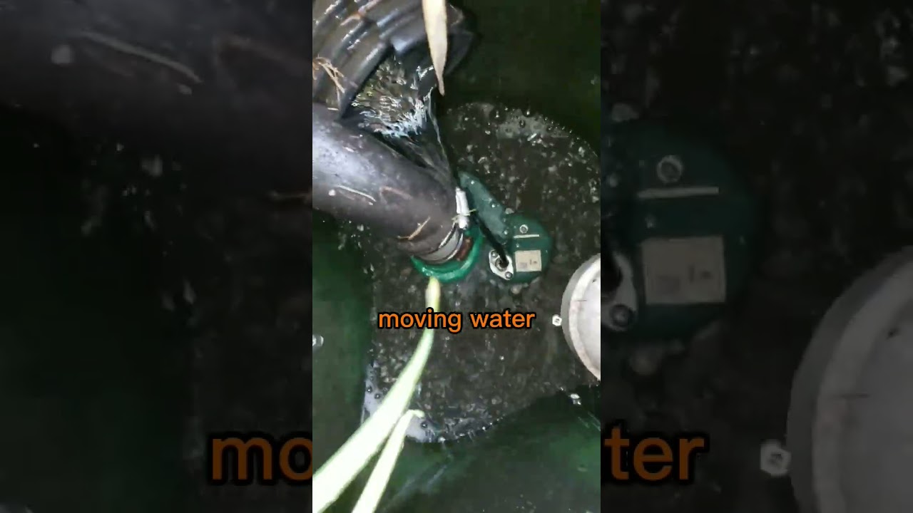 French drain install and Sump Pump| Wrapped in Fabric 