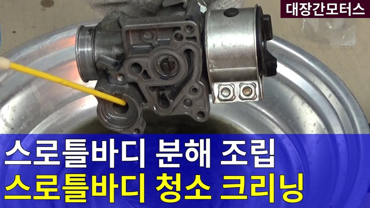 #149 스로틀바디 청소/스로틀바디 크리닝 DIY