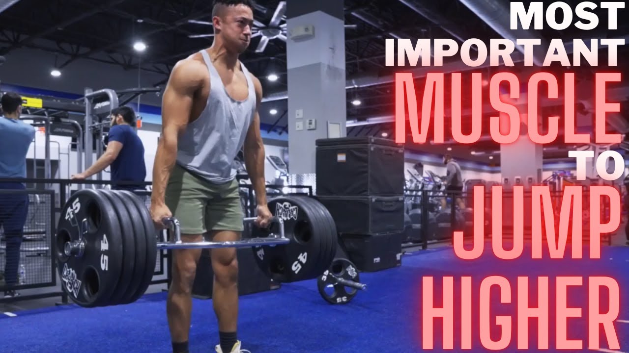 Most Important MUSCLE to JUMP HIGHER