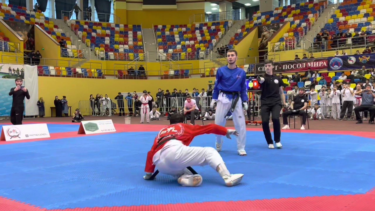 Professional Taekwondo League. Evloev I. 🔵 vs 🔴 Magomedov G. #PTL1 #проф #бои #тхэквондо