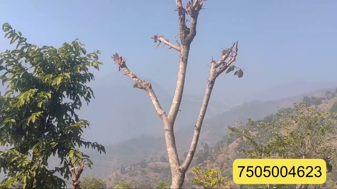 Premium Investment Land for Sale  Khadki near Naukuchiatal | Jamrani Dam View