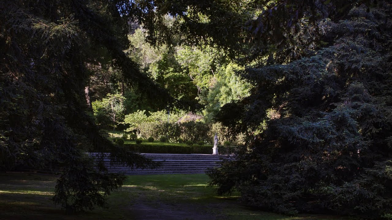 Quinta da Ribafria | Sequoia