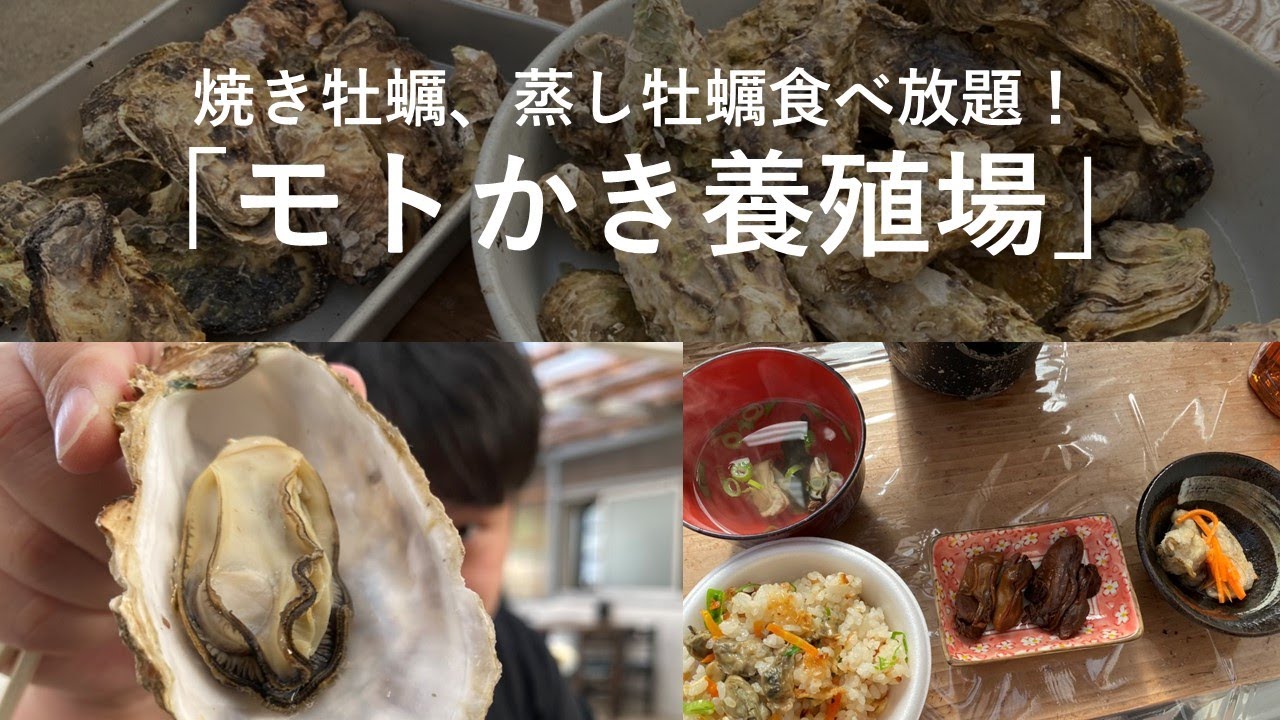 【焼き牡蠣、蒸し牡蠣食べ放題】モトかき養殖場で楽しむカキ尽くし！【鳥羽市浦村町】
