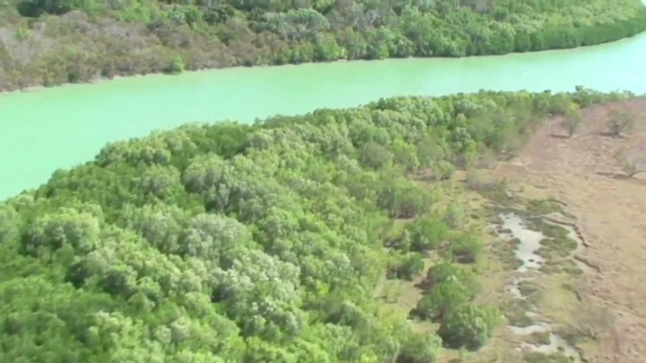 APN Cape York - Our Future
