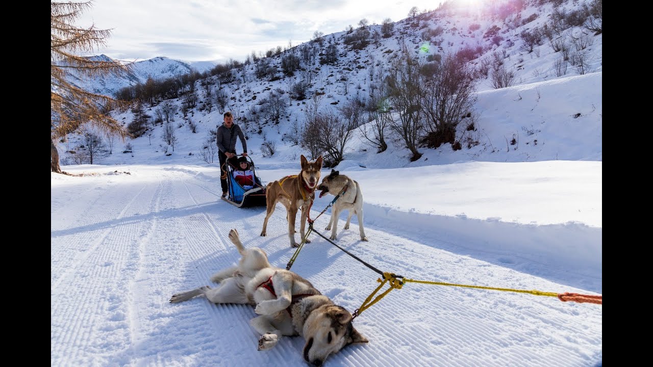 VIDEO STAGIONE SLEDDOG 2022/2023