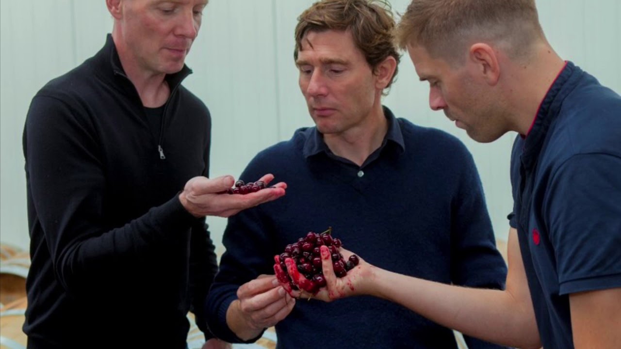 Frederiksdal Cherry wine - world class Danish wine