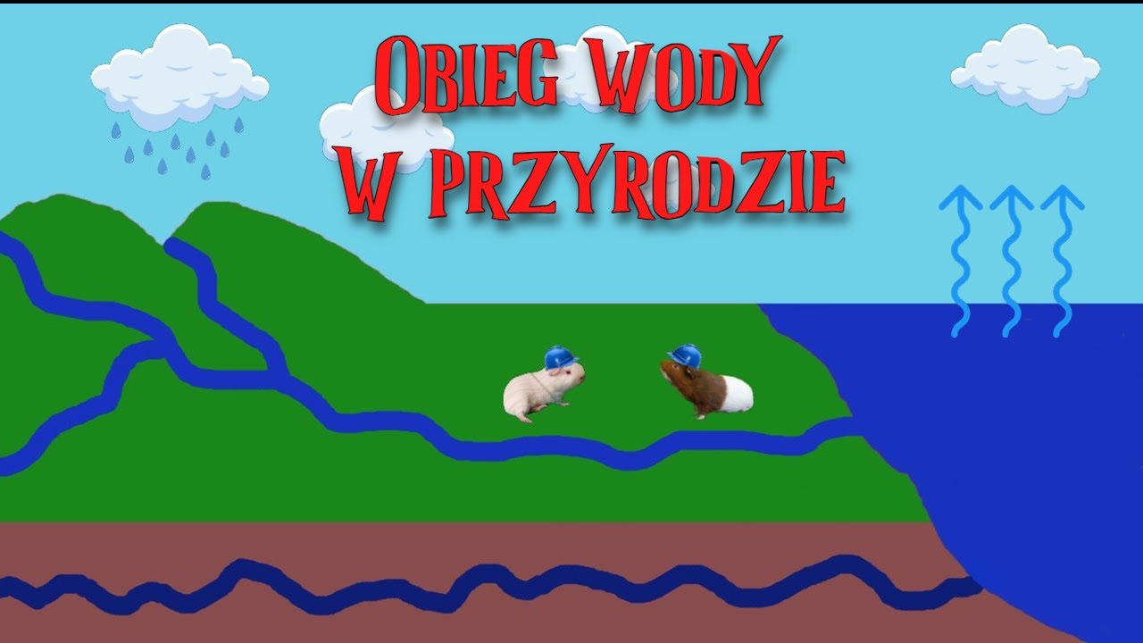 Krążenie wody w przyrodzie (lekcja przyrody dla klasy 4 online)