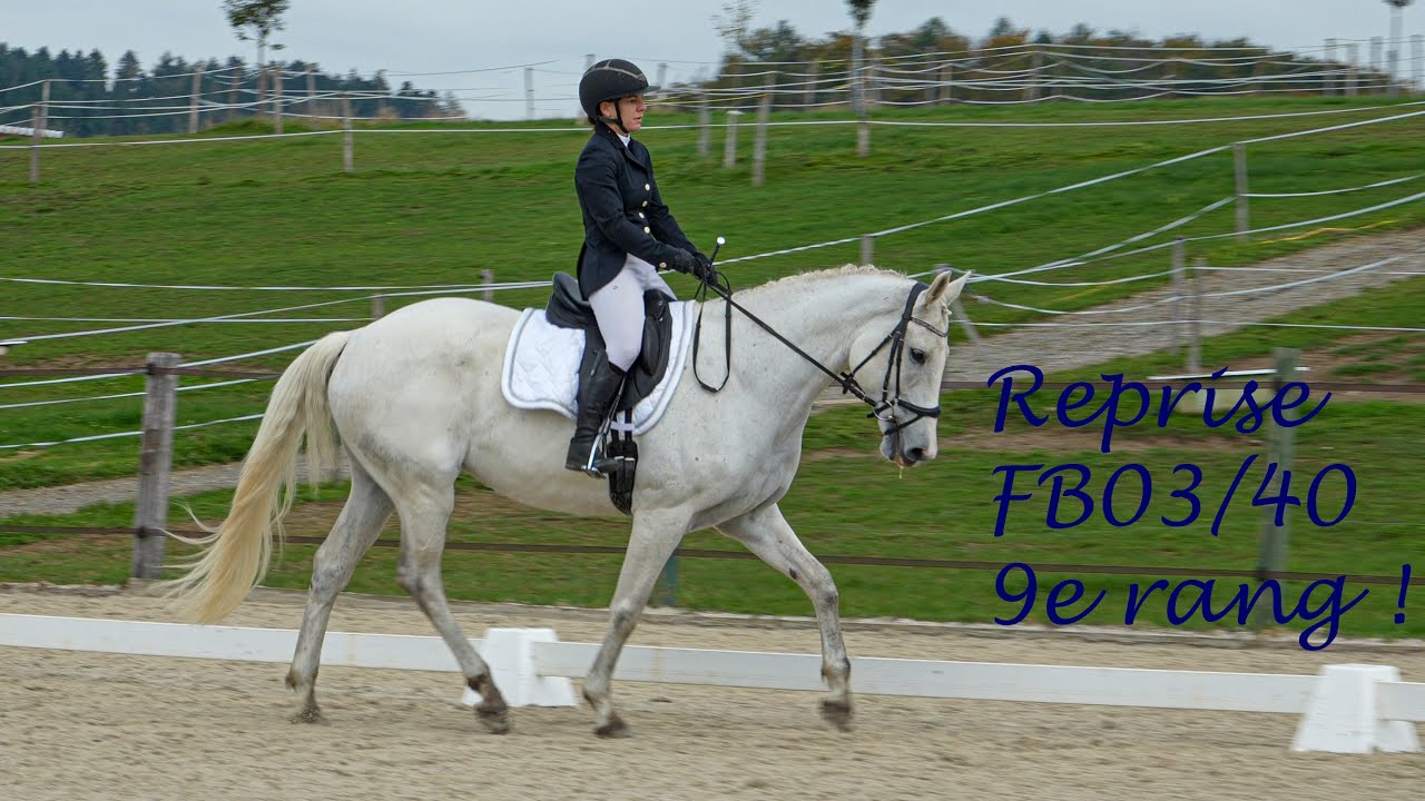 Sarix : concours du 12.10.2024 à Forel, reprise FB03/40, 9e rang