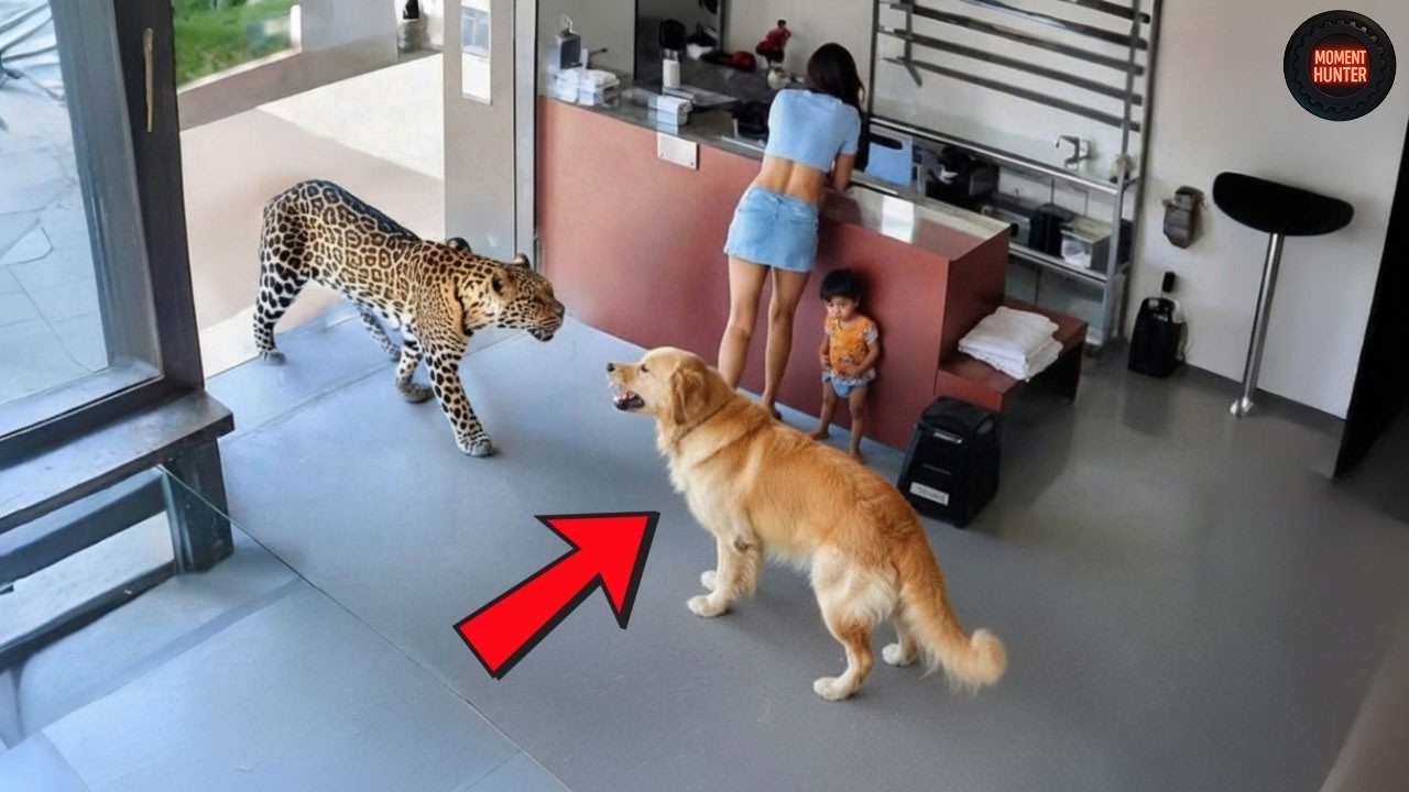 Moments Filmed Seconds Before Disasters | Incredible Moments #1