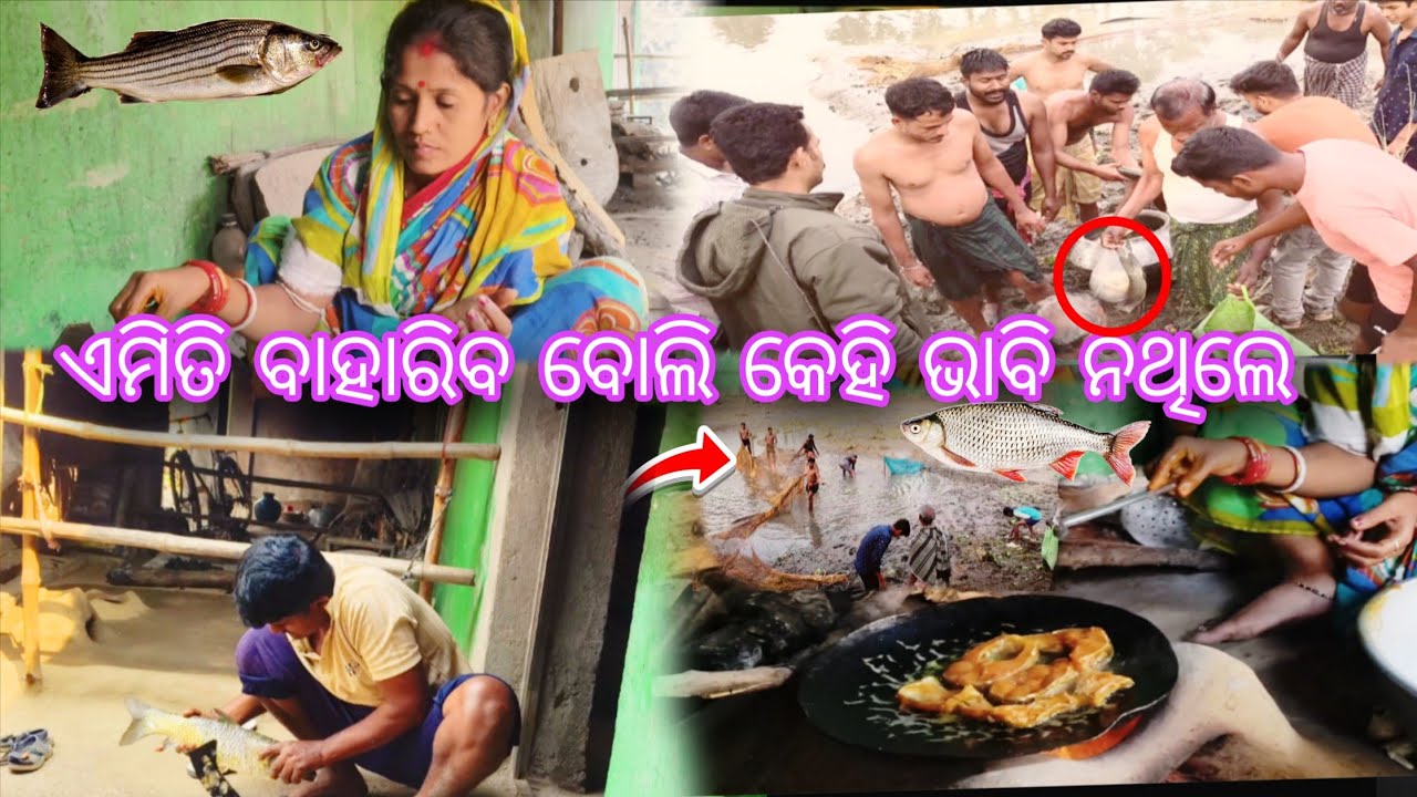 ଦେଖିଲେ ଜାଣିବେ ନ ଦେଖିଲେ କଣ ଜାଣିବେ 🐋🐟🐠🦐😀#sasmitasahu #villager-life-style #viral 