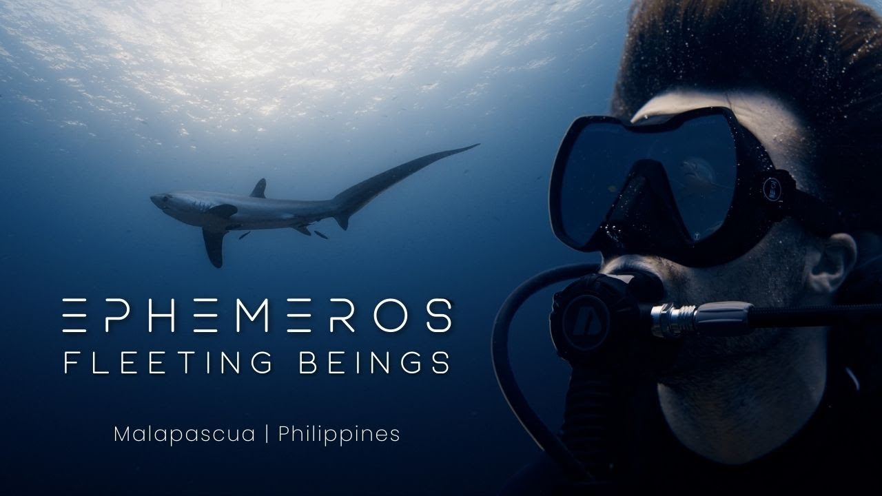 Ephemeros - Fleeting Beings | Diving with Thresher Sharks in Malapascua | Philippines 2025