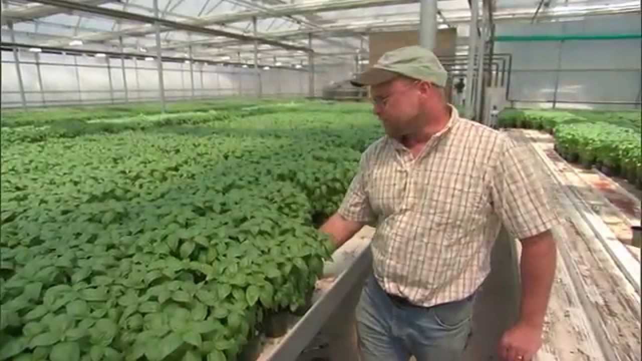 Big Y World Class Market: Happy Valley Organics