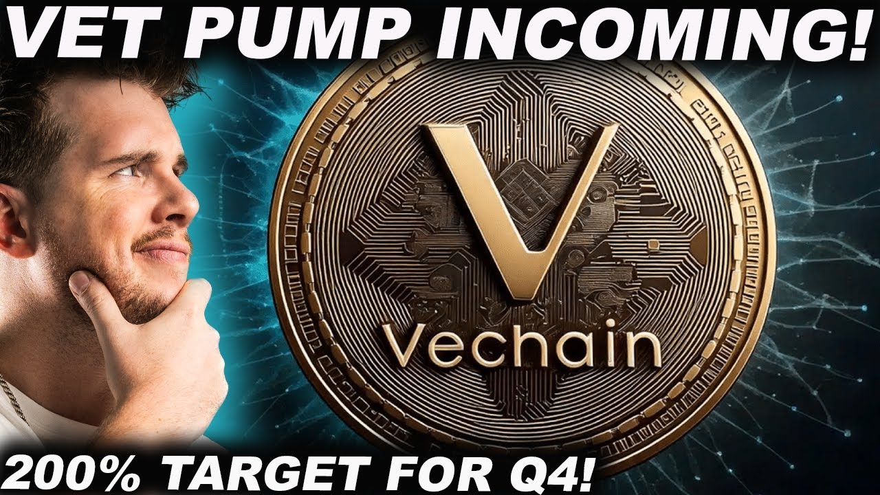НАСОС VECHAIN ​​ПРИБЫЛ! (ЦЕЛЬ 200% ДЛЯ VET В 4 КВАРТАЛЕ)
