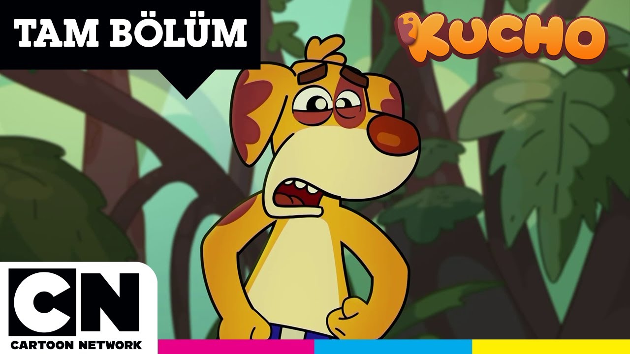 KUCHO | Kuşlar Vadisi | TAM BÖLÜM | @cartoonnetworkturkiye
