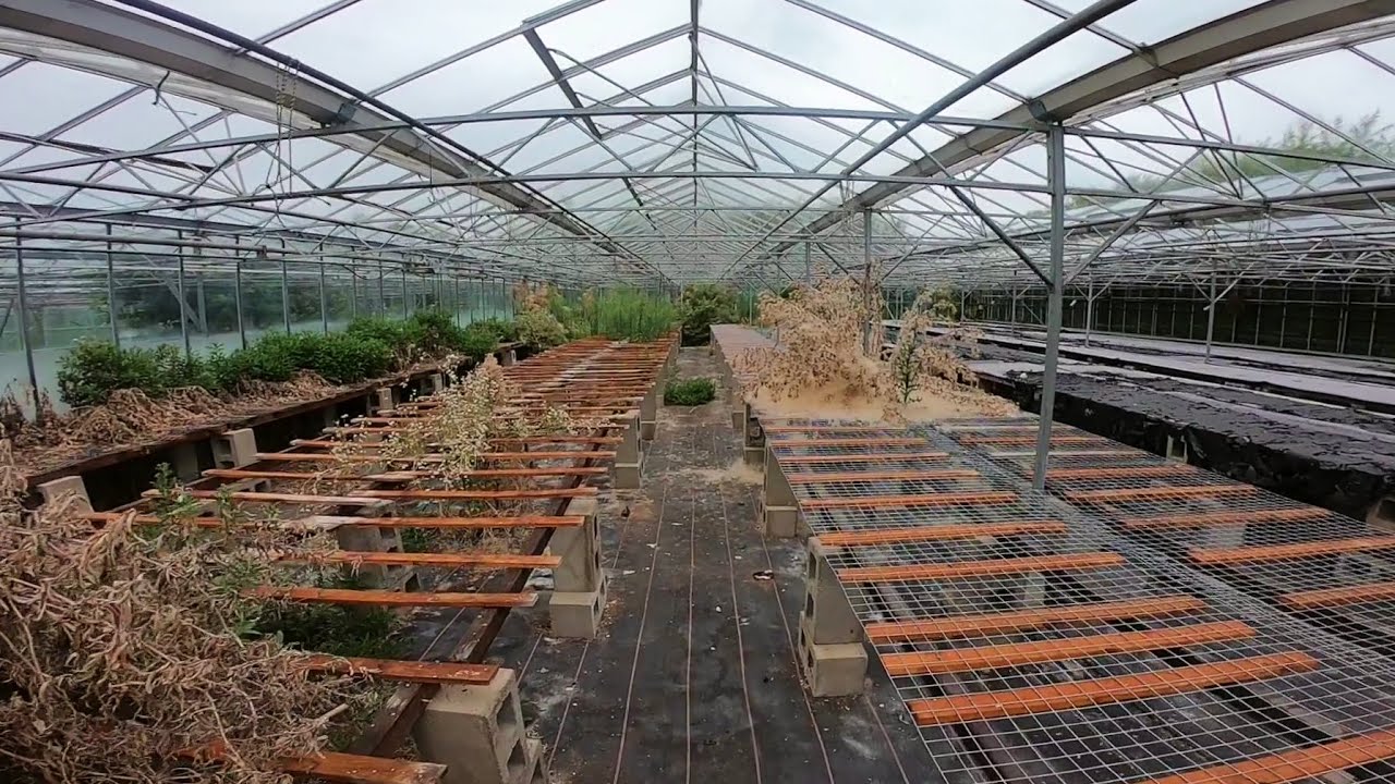 SET OFF ALARMS | Abandoned Garden Centre | POV
