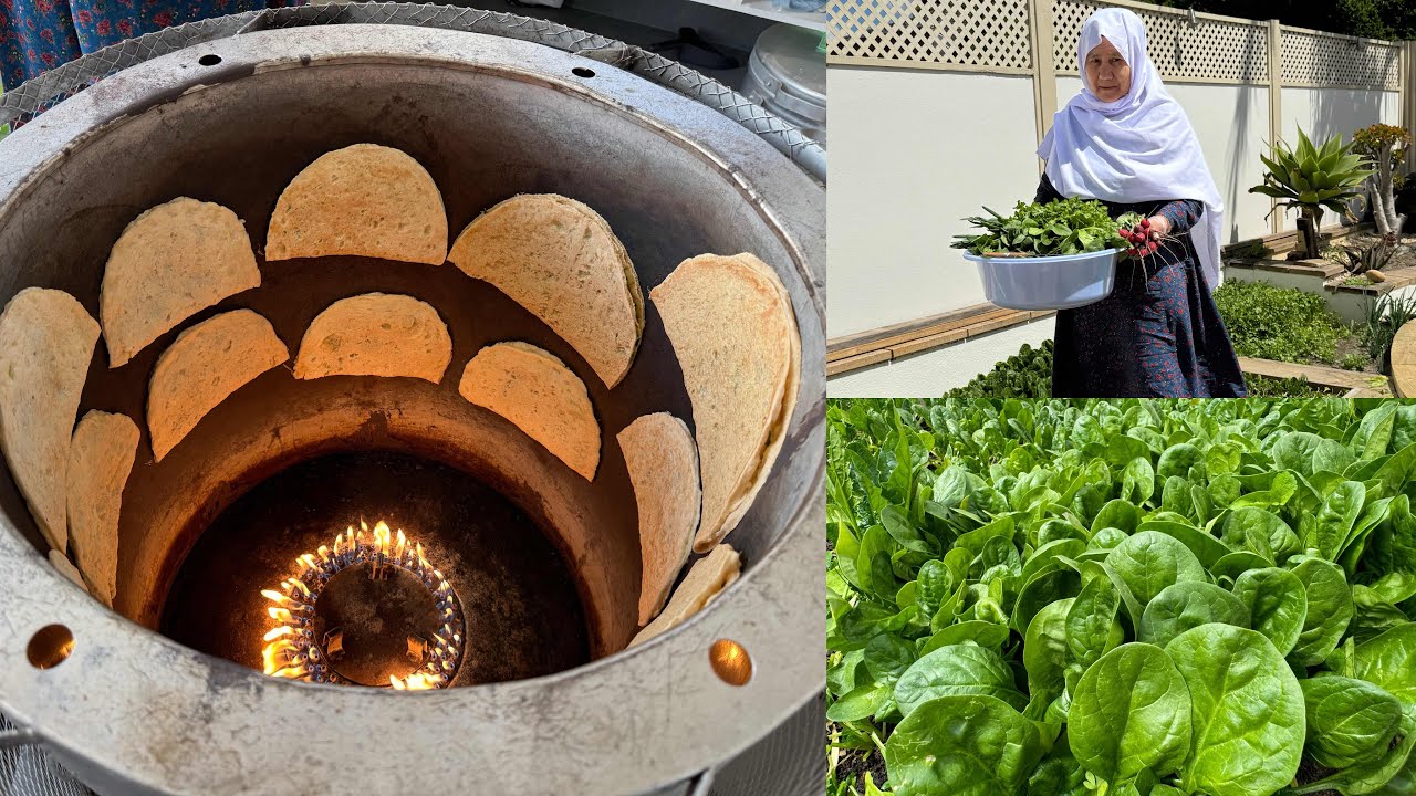 Growing Organic Vegetables at home|زراعة الخضروات العضوية في المنزل| daily life in Australia