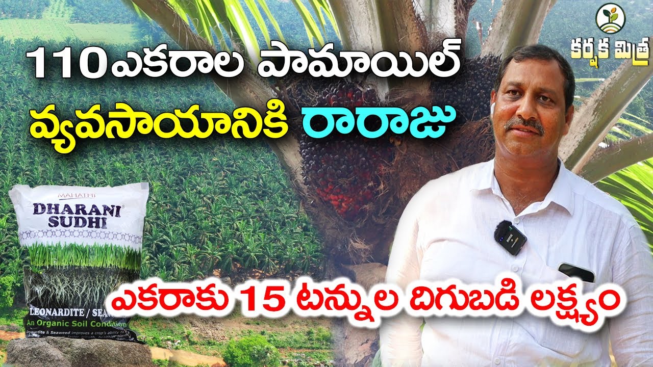 ఎకరాకు 15 టన్నుల పామాయిల్ దిగుబడే లక్ష్యం || Success Story of Oil Palm Farming || Karshaka Mitra