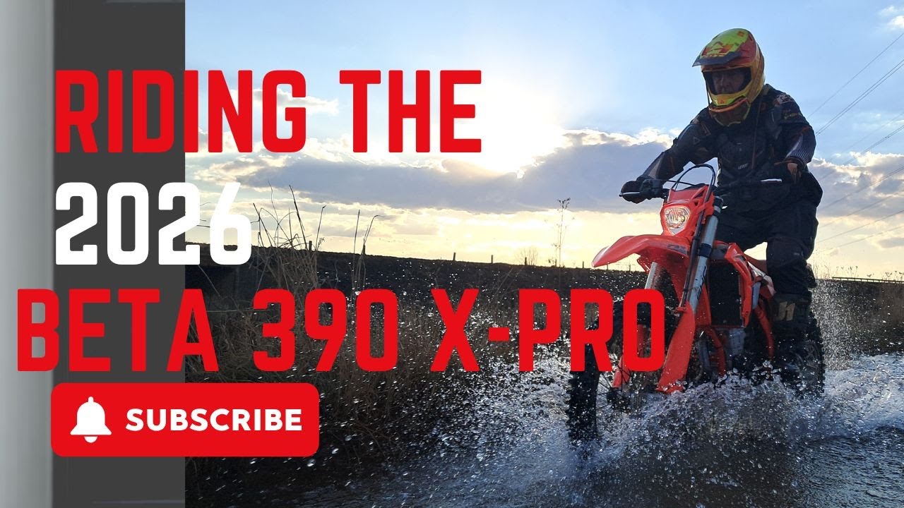 Beta 390