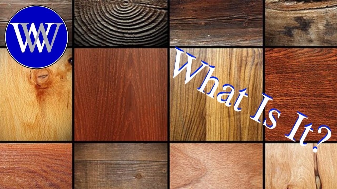 Wood Identifications Examples