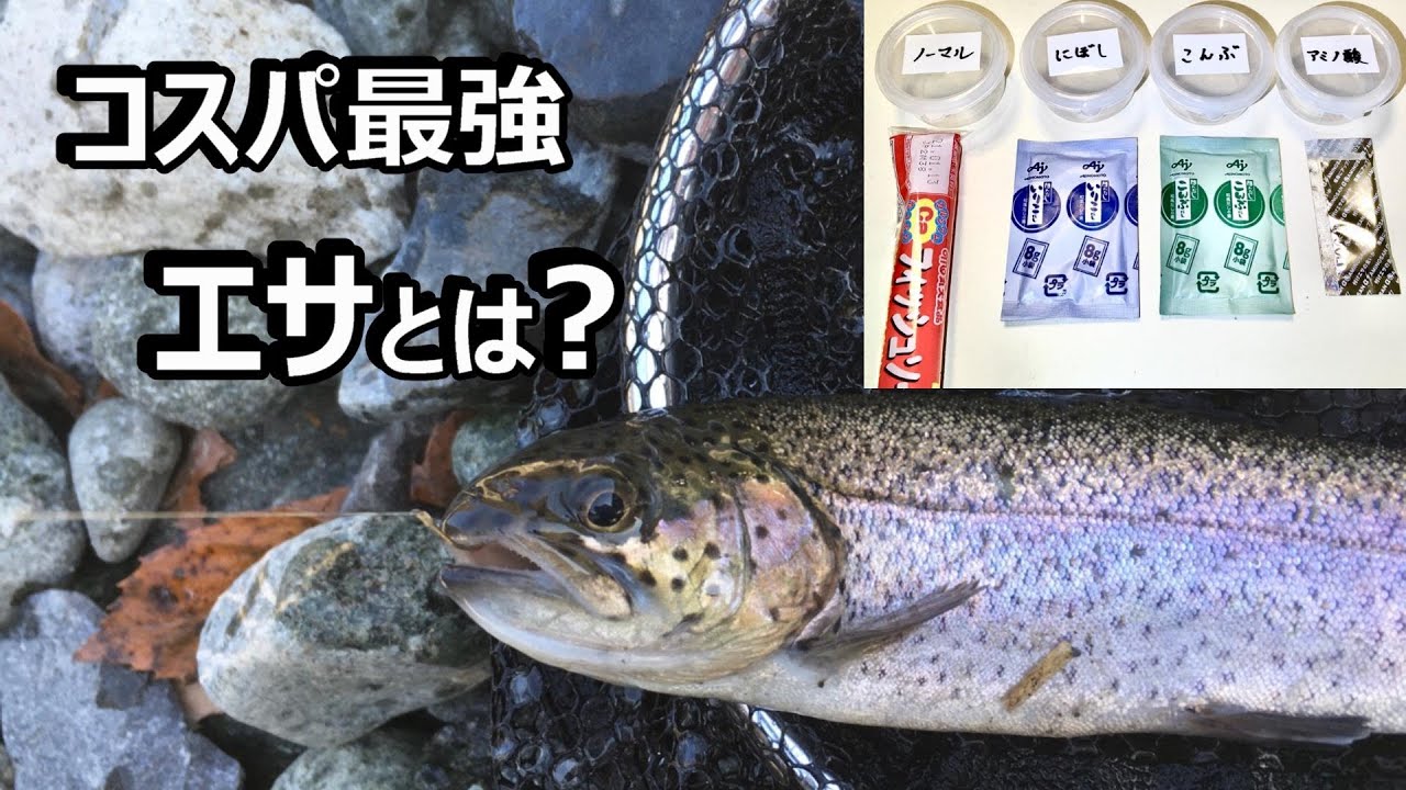 [管理釣り場]マスの餌釣り　良く釣れるコスパ最強の餌を調べてみた。