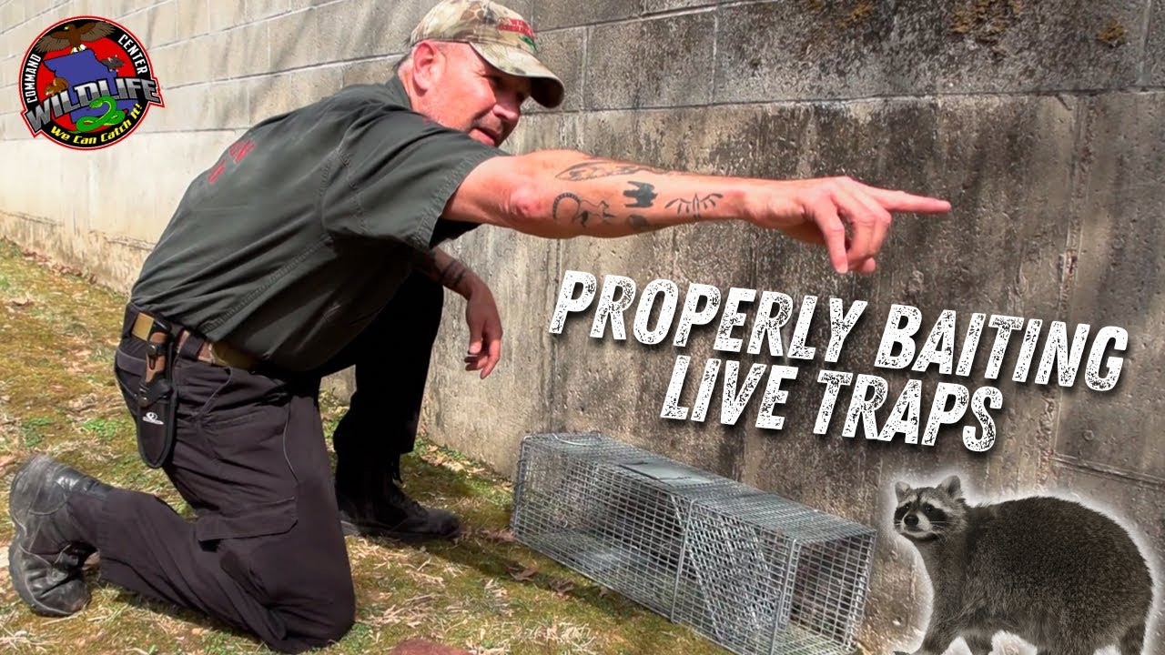Setting Traps for Dummies - TOP SECRET | Wildlife Command Center