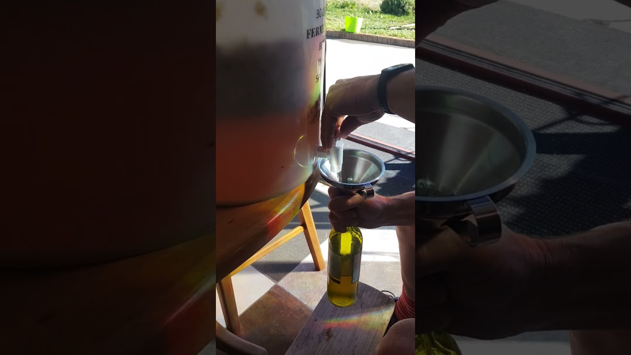 Rhubarb wine. OR cordial. Only time will tell... 