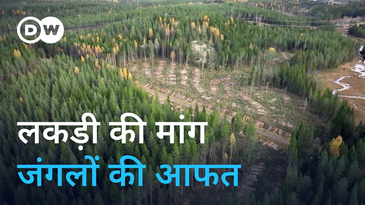 खतरा झेलते स्वीडन के जंगल [Sweden: Timber demand threatens forest]