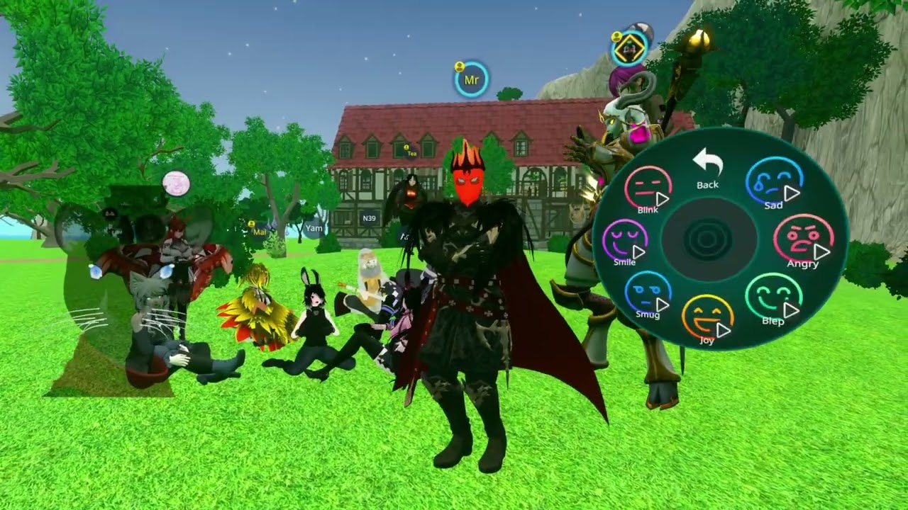 Aether Chronicles VRRP