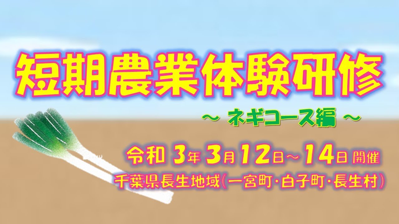 2泊3日短期農業体験研修～ネギ～