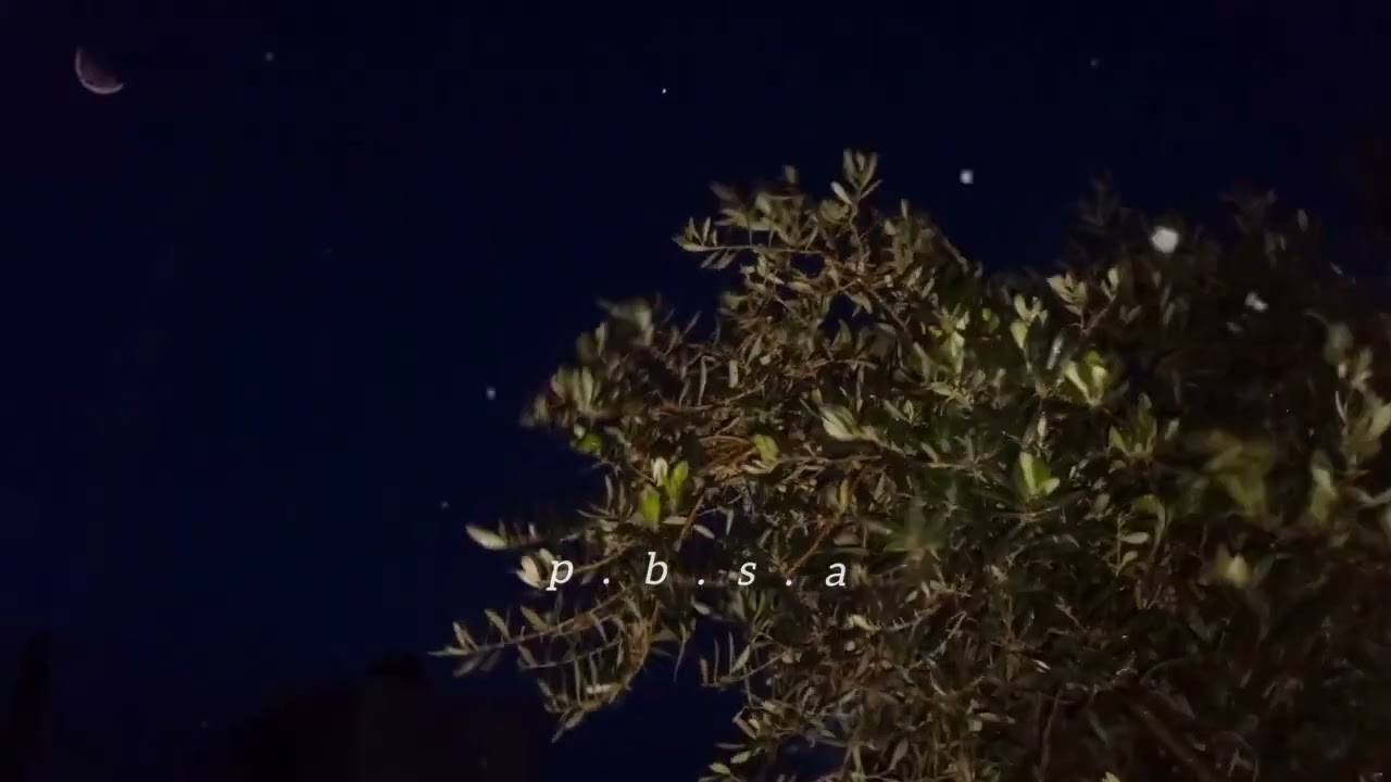 قَلبٍ ذَاقَ مِن لَوعات الأيام ما يَكفيه .