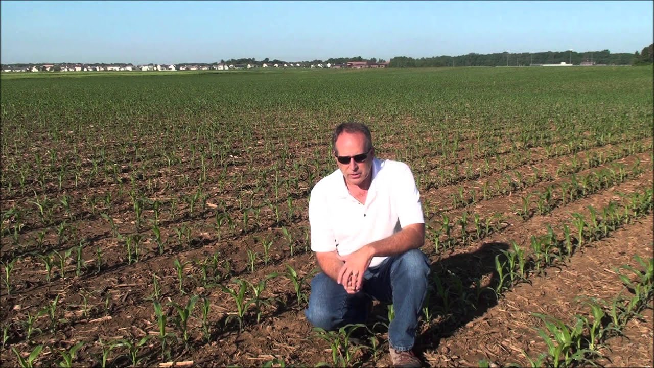 BD 1 Stubble Digester- Beneficial Microbes and Biostimulant for Crop Residue