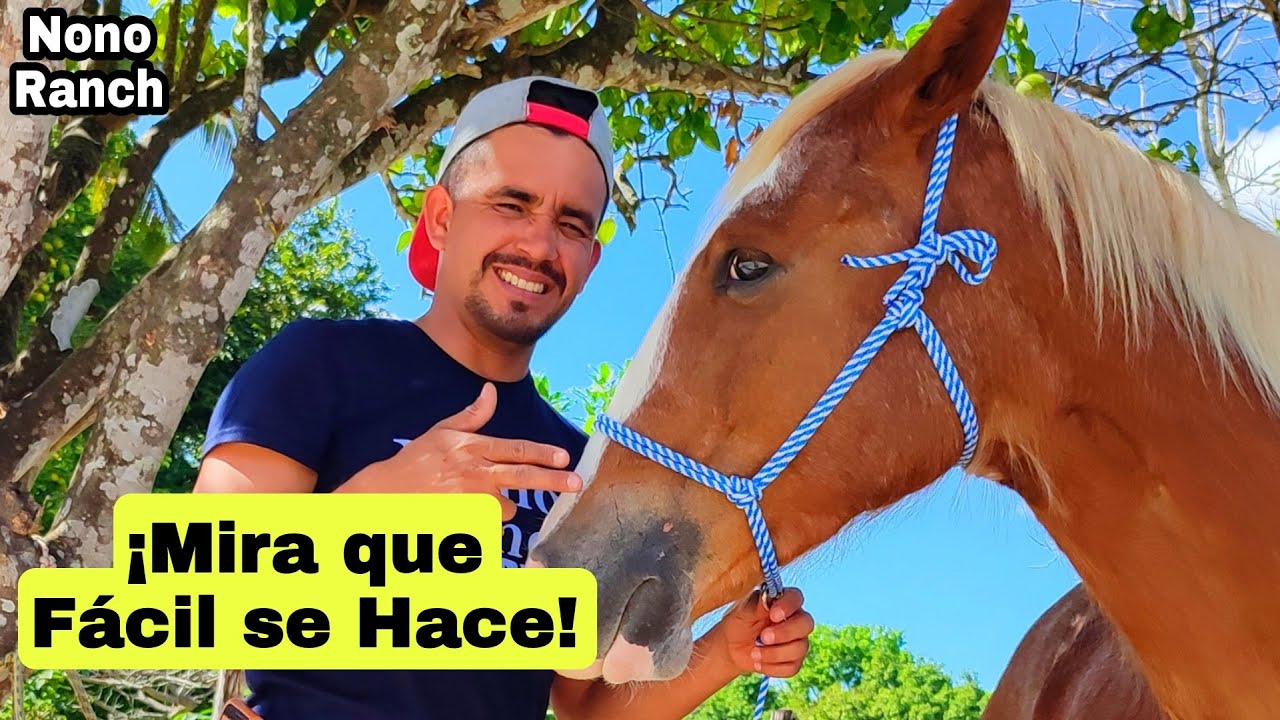 Como hacer UNA GAMARRA para CABALLO