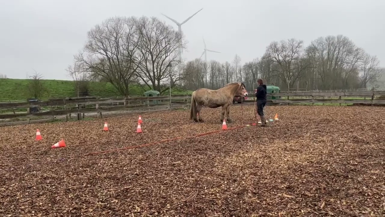 Alexia Waterman et Icarus (Elite 2026)