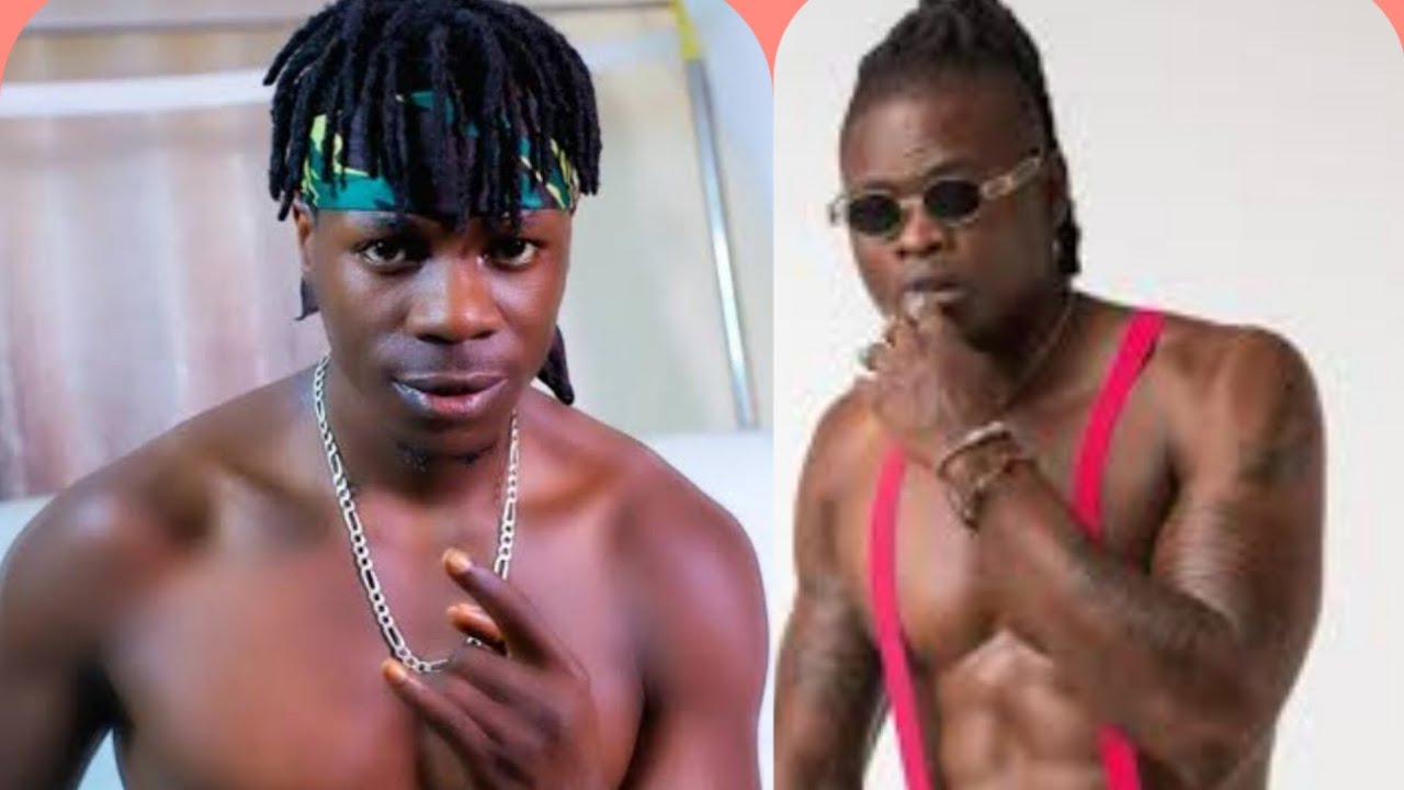 Alien Skin Awadde Pallaso Last Warning, Alabudde Weasel Ayagala Omugoba Kukyalo.