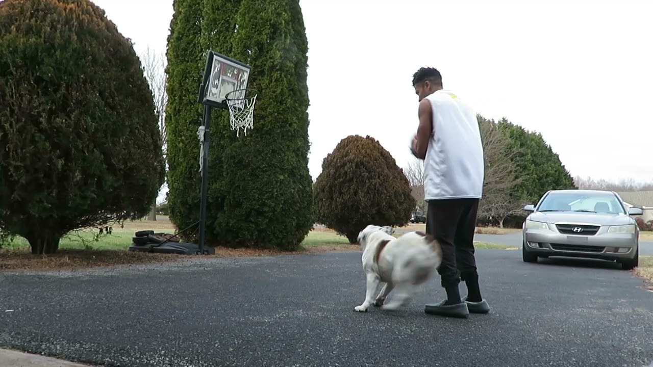 Thirky vs Luey BaggiBall
