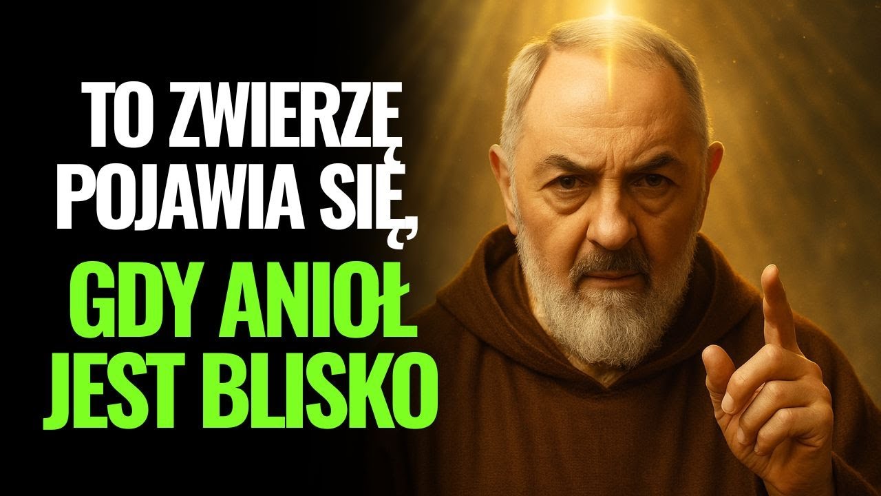 Ojciec Pio ujawnił: to zwierzę jest znakiem że anioł jest w pobliżu