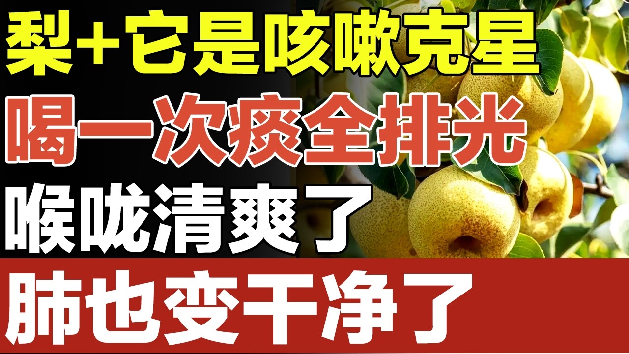 喉咙有痰、久咳不愈？梨+它是咳嗽克星，喝一次痰全排光，喉咙清爽、肺干净【养生妙招】#咳嗽