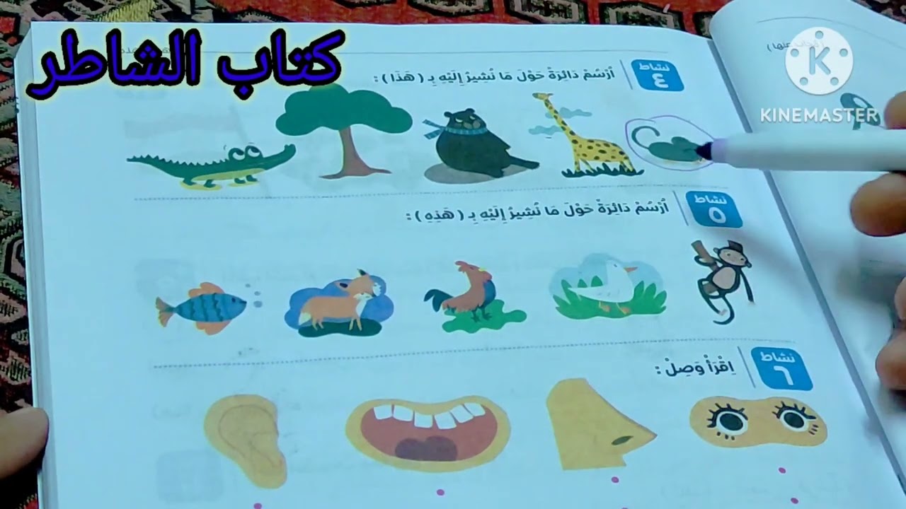 أسماء الإشارة للصف الأول الابتدائي 🌹 ترم تاني 👍 من كتاب الشاطر ✅