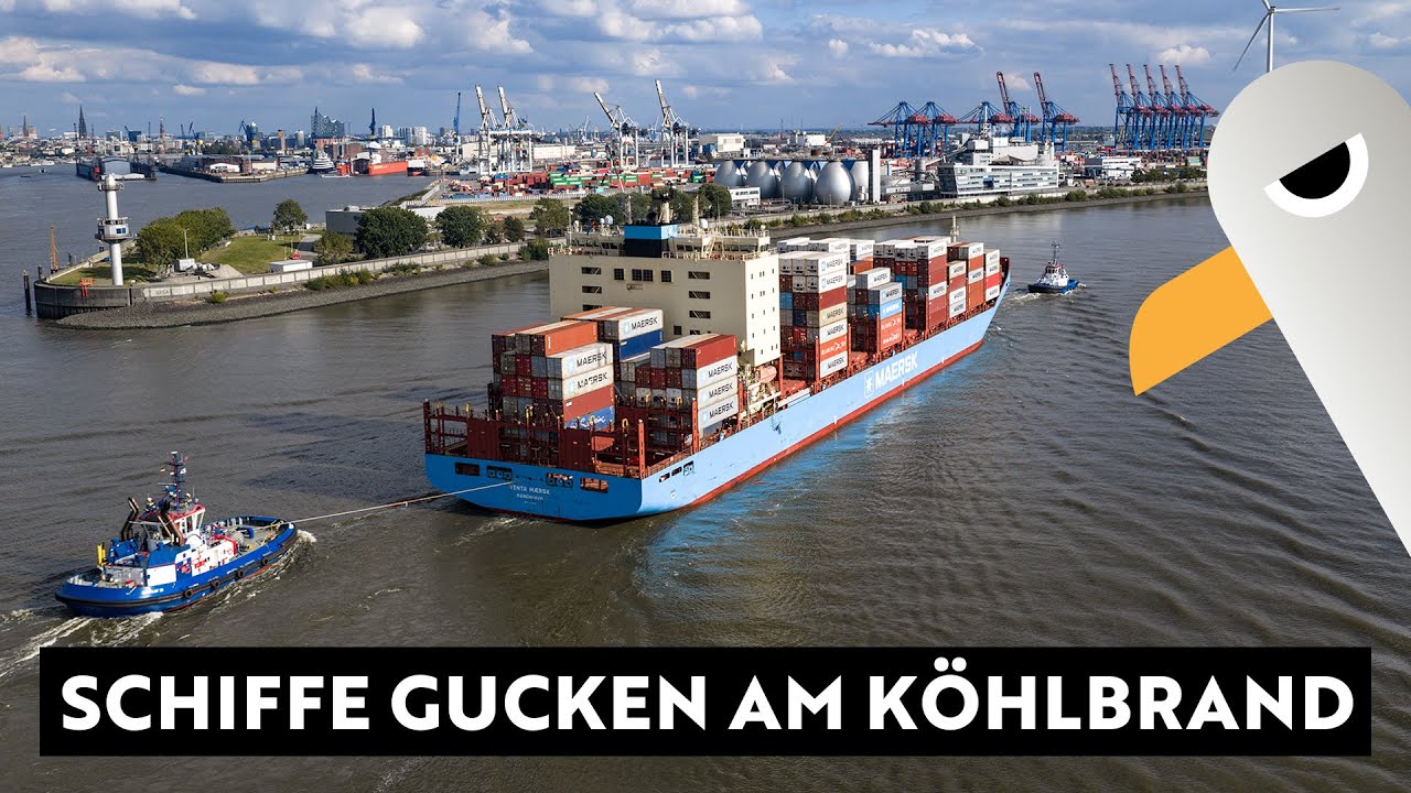 Schiffe gucken am Köhlbrand 🛳️ feat. Independence of the Seas 🩷 ONE Recognition & Santos Express 4K