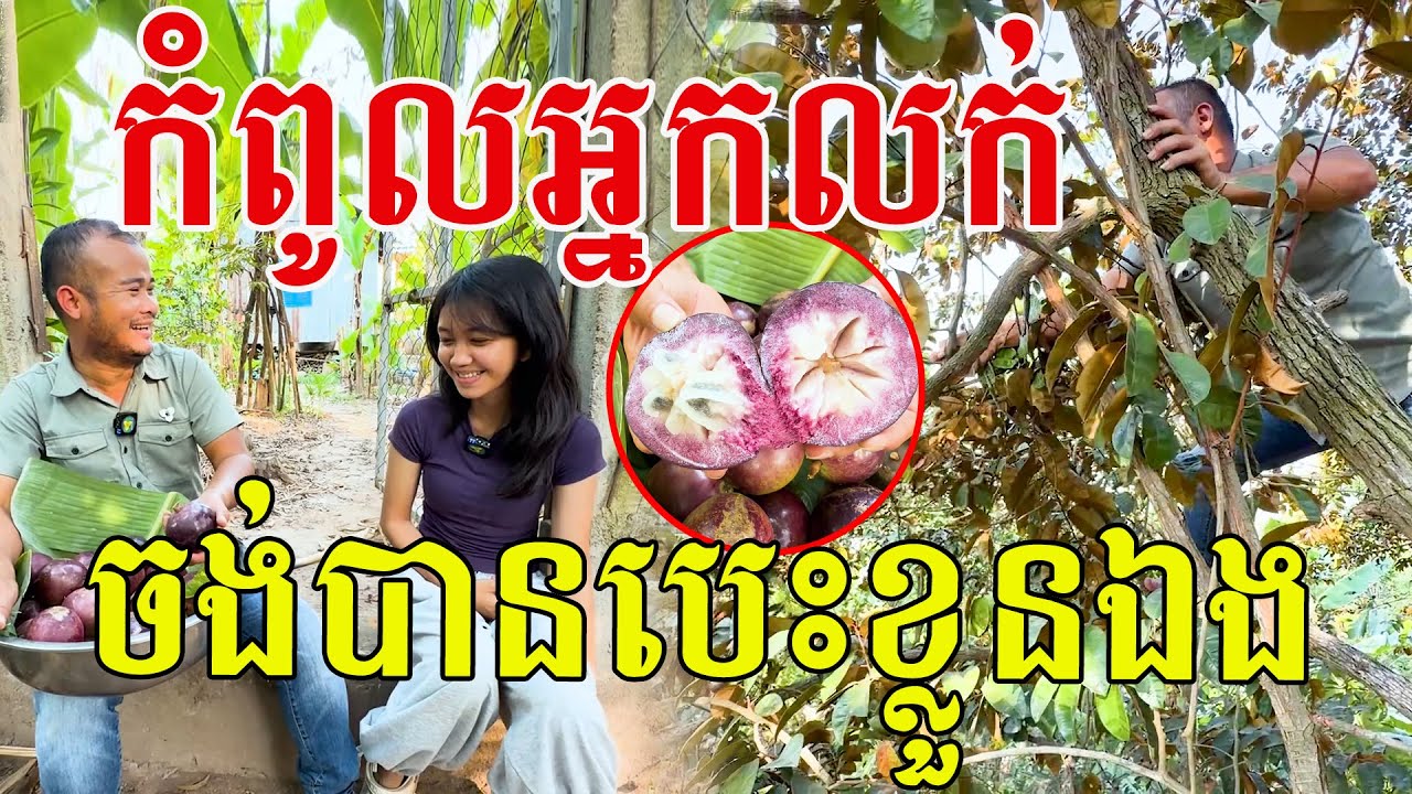 កំពូលអ្នកលក់ ចង់បានបេះខ្លួនឯង ឡើងភ្លក្សដល់ចុង