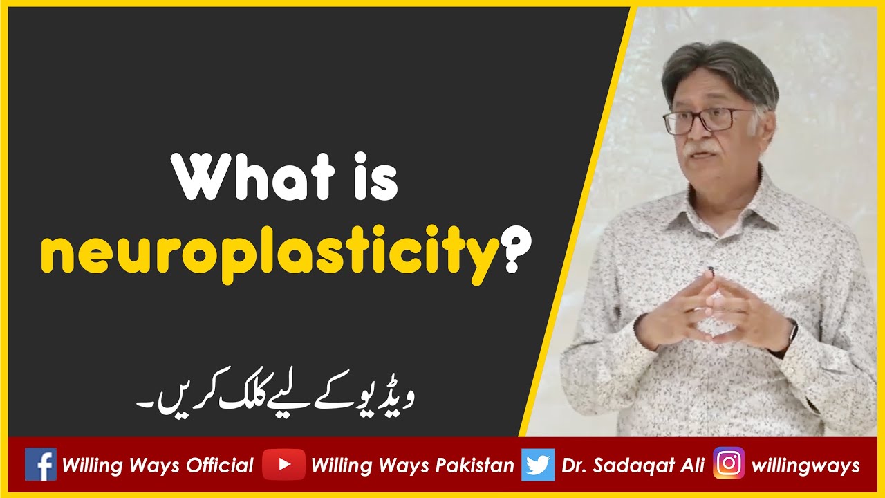 What is Neuroplasticity?