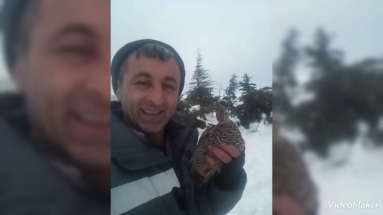 Qızılağac Milli Parkının işçilərinin təbiət sevgisi daha da qabarıq ifadə olunur.