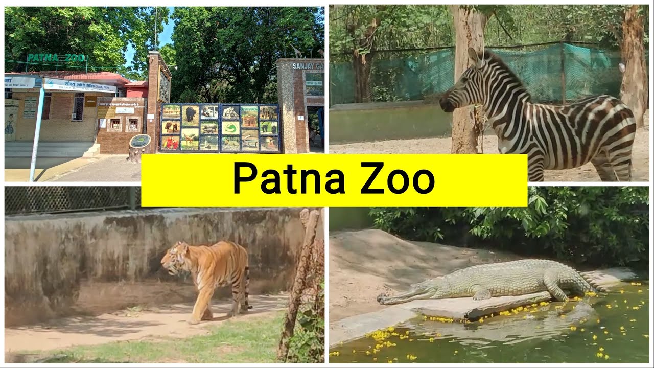 Patna Zoo | Sanjay Gandhi Biological Park | Full Details with Ticket Price and Timing