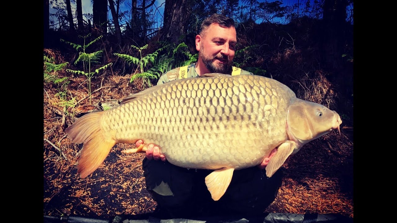 *** 22.6kg Common *** - RAINBOW LAKE peg 14 - Lac de Curton France !!!