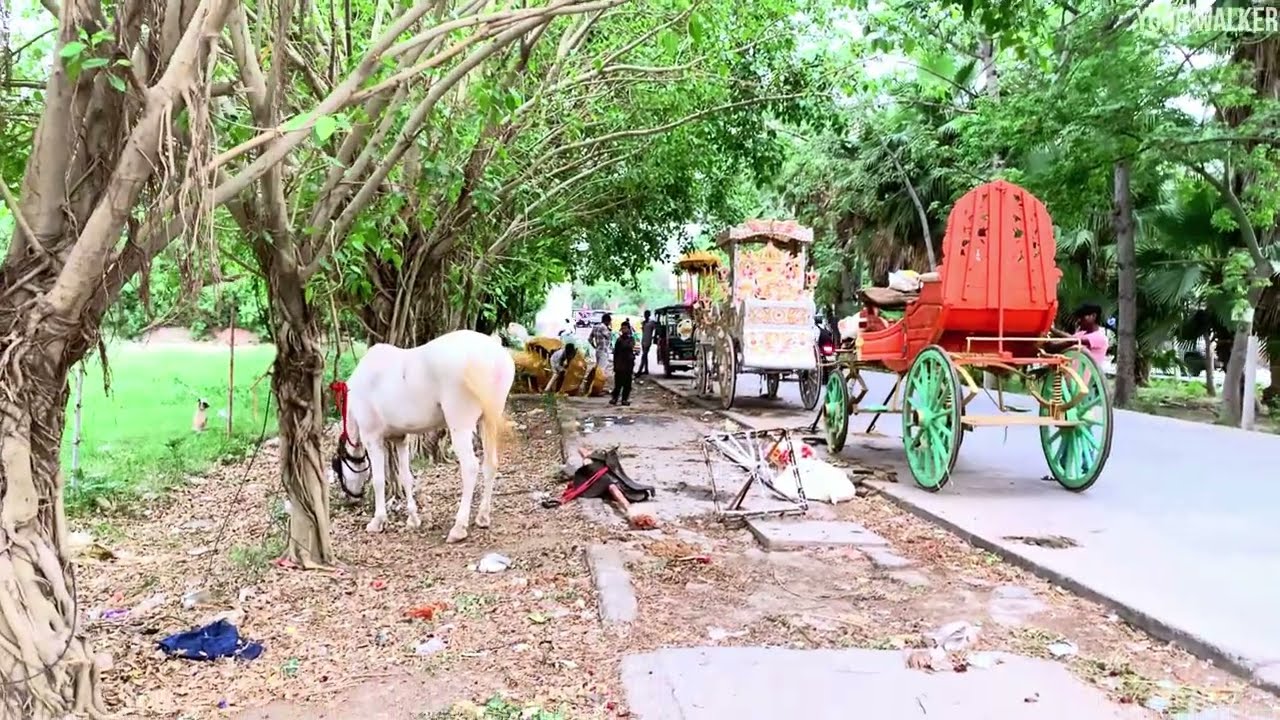 Walking Through the Suburbs of New Delhi: A Different Side of Urban Life - Rohini